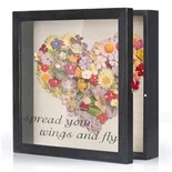 Hộp trưng bày Shadow Box